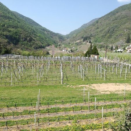 Agriturismo Le Cavade 琴布拉 外观 照片