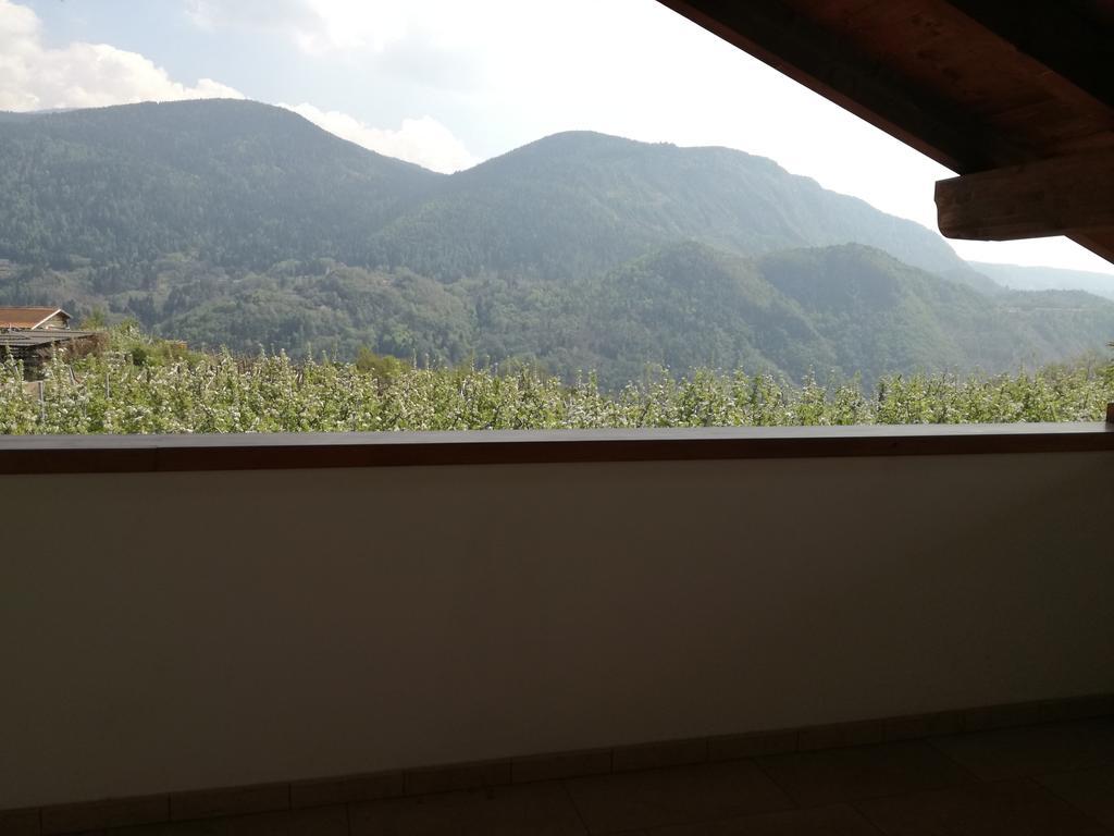 Agriturismo Le Cavade 琴布拉 外观 照片